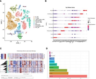 Identification and validation of a novel signature based on cell-cell communication in head and neck squamous cell carcinoma by integrated analysis of single-cell transcriptome and bulk RNA-sequencing